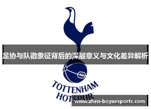 足协与队徽象征背后的深层意义与文化差异解析 足协与队徽象征背后的深层意义与文化差异解析