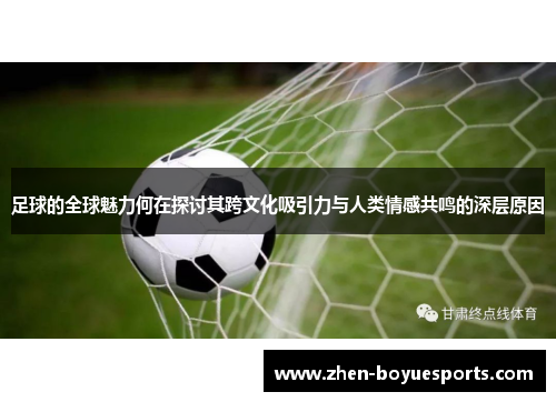 足球的全球魅力何在探讨其跨文化吸引力与人类情感共鸣的深层原因 足球的全球魅力何在探讨其跨文化吸引力与人类情感共鸣的深层原因