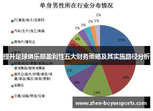 提升足球俱乐部盈利性五大财务策略及其实施路径分析 提升足球俱乐部盈利性五大财务策略及其实施路径分析